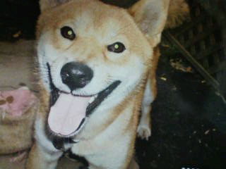�L�O�ʐ^!!