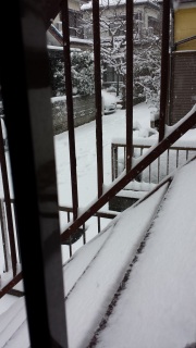 雪日